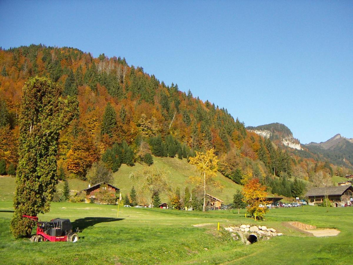 "Chalet Les Aravis" Chalet Et Appartements Le Grand-Bornand Eksteriør billede